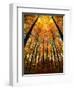 Cathedral Fall-Philippe Sainte-Laudy-Framed Photographic Print