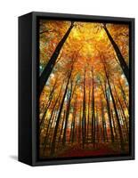 Cathedral Fall-Philippe Sainte-Laudy-Framed Stretched Canvas