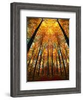 Cathedral Fall-Philippe Sainte-Laudy-Framed Photographic Print