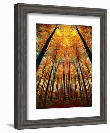 Cathedral Fall-Philippe Sainte-Laudy-Framed Photographic Print