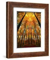 Cathedral Fall-Philippe Sainte-Laudy-Framed Photographic Print