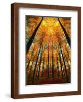 Cathedral Fall-Philippe Sainte-Laudy-Framed Photographic Print