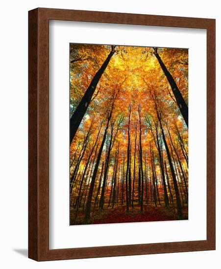 Cathedral Fall-Philippe Sainte-Laudy-Framed Photographic Print