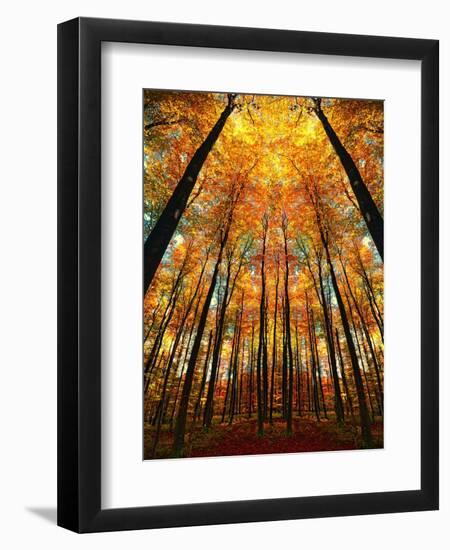 Cathedral Fall-Philippe Sainte-Laudy-Framed Photographic Print