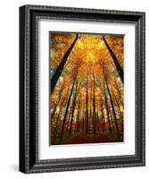 Cathedral Fall-Philippe Sainte-Laudy-Framed Photographic Print