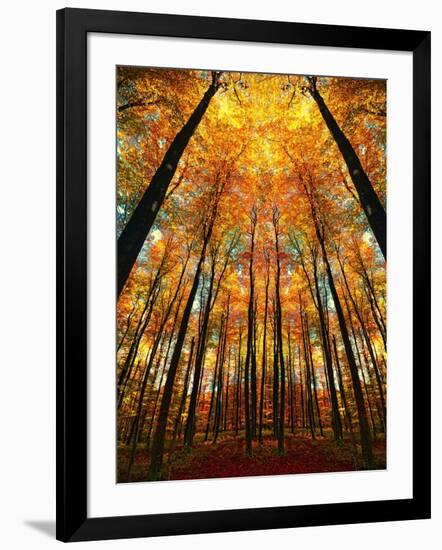 Cathedral Fall-Philippe Sainte-Laudy-Framed Photographic Print