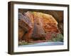 Cathedral Gorge, Bungle Bungle, Purnululu National Park, Kimberley, Western Australia, Australia-Schlenker Jochen-Framed Photographic Print