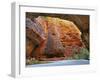 Cathedral Gorge, Bungle Bungle, Purnululu National Park, Kimberley, Western Australia, Australia-Schlenker Jochen-Framed Photographic Print