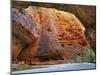 Cathedral Gorge, Bungle Bungle, Purnululu National Park, Kimberley, Western Australia, Australia-Schlenker Jochen-Mounted Photographic Print