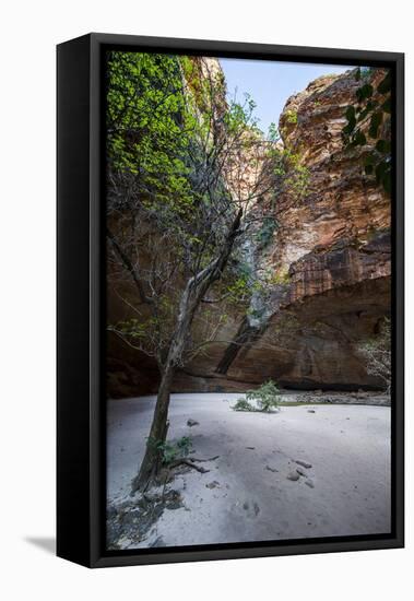 Cathedral Gorge in the Purnululu National Park-Michael Runkel-Framed Stretched Canvas