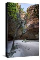 Cathedral Gorge in the Purnululu National Park-Michael Runkel-Stretched Canvas