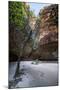 Cathedral Gorge in the Purnululu National Park-Michael Runkel-Mounted Photographic Print