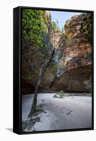 Cathedral Gorge in the Purnululu National Park-Michael Runkel-Framed Stretched Canvas