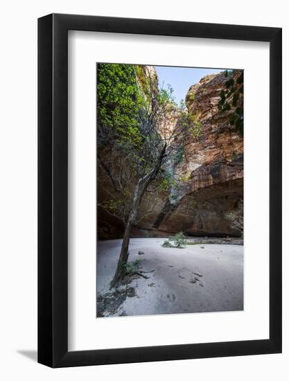 Cathedral Gorge in the Purnululu National Park-Michael Runkel-Framed Photographic Print