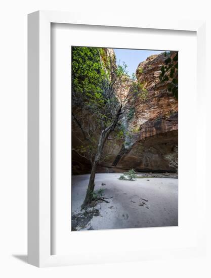 Cathedral Gorge in the Purnululu National Park-Michael Runkel-Framed Photographic Print