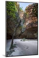 Cathedral Gorge in the Purnululu National Park-Michael Runkel-Mounted Photographic Print