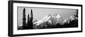 Cathedral Group Grand Teton National Park Wy-null-Framed Photographic Print