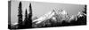 Cathedral Group Grand Teton National Park Wy-null-Stretched Canvas