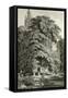 Cathedral Hidden Among Trees-Karl Friedrich Schinkel-Framed Stretched Canvas