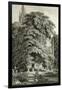 Cathedral Hidden Among Trees-Karl Friedrich Schinkel-Framed Giclee Print