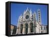Cathedral in Siena, UNESCO World Heritage Site, Tuscany, Italy, Europe-Rainford Roy-Framed Stretched Canvas