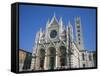 Cathedral in Siena, UNESCO World Heritage Site, Tuscany, Italy, Europe-Rainford Roy-Framed Stretched Canvas