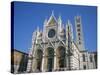 Cathedral in Siena, UNESCO World Heritage Site, Tuscany, Italy, Europe-Rainford Roy-Stretched Canvas