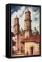 Cathedral in Taxco, Mexico-null-Framed Stretched Canvas