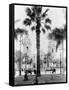 Cathedral in the Plaza de Armas in Peru Photograph - Lima, Peru-Lantern Press-Framed Stretched Canvas