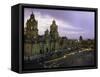 Cathedral Metropolitana, Mexico City, Mexico-Walter Bibikow-Framed Stretched Canvas