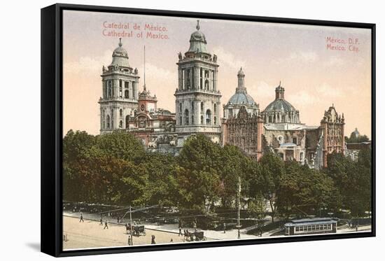 Cathedral, Mexico City-null-Framed Stretched Canvas