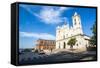 Cathedral of Asuncion, Asuncion, Paraguay, South America-Michael Runkel-Framed Stretched Canvas