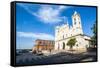 Cathedral of Asuncion, Asuncion, Paraguay, South America-Michael Runkel-Framed Stretched Canvas