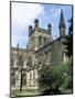 Cathedral of Christ and the Blessed Virgin, Largely Built in 1093, Chester, Cheshire, England-Tony Waltham-Mounted Photographic Print