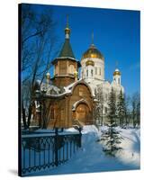 Cathedral of Christ the Saviour, Moscow, Russia-null-Stretched Canvas