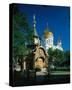 Cathedral of Christ the Saviour, Moscow, Russia-null-Stretched Canvas