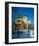 Cathedral of Christ the Saviour, Moscow, Russia-null-Framed Art Print