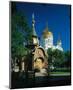 Cathedral of Christ the Saviour, Moscow, Russia-null-Mounted Art Print