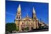 Cathedral of Guadalajara-Danny Lehman-Mounted Photographic Print