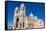 Cathedral of Marseille (Notre-Dame De La Major) (Sainte-Marie-Majeure)-Nico Tondini-Framed Stretched Canvas
