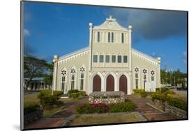 Cathedral of Mount Carmel, Garapan, Saipan, Northern Marianas, Central Pacific, Pacific-Michael Runkel-Mounted Photographic Print