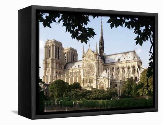 Cathedral of Notre Dame, Paris, France-Adam Woolfitt-Framed Stretched Canvas