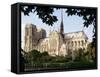 Cathedral of Notre Dame, Paris, France-Adam Woolfitt-Framed Stretched Canvas