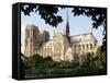 Cathedral of Notre Dame, Paris, France-Adam Woolfitt-Framed Stretched Canvas