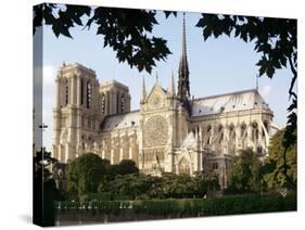 Cathedral of Notre Dame, Paris, France-Adam Woolfitt-Stretched Canvas