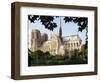 Cathedral of Notre Dame, Paris, France-Adam Woolfitt-Framed Photographic Print