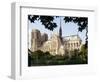 Cathedral of Notre Dame, Paris, France-Adam Woolfitt-Framed Photographic Print