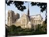 Cathedral of Notre Dame, Paris, France-Adam Woolfitt-Mounted Photographic Print
