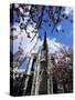 Cathedral of Notre-Dame, Rouen, Seine-Maritime, Haute Normandie (Normandy), France-David Hughes-Stretched Canvas