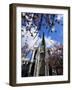 Cathedral of Notre-Dame, Rouen, Seine-Maritime, Haute Normandie (Normandy), France-David Hughes-Framed Photographic Print